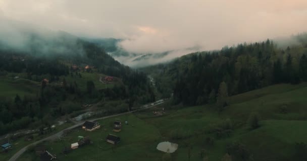 Mlhavé Ráno Lese — Stock video