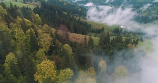 霧の多い山での美しい景色4Kドローン撮影 — ストック動画
