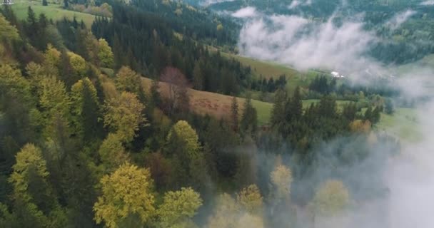 Vakker Utsikt Tåkete Fjellene Drone Skudd – stockvideo