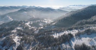Drone görüntüleri kar ağaçları, kış doğasını güzel Avrupa hava manzarasını çam ormanı dağını, mevsimlik seyahatleri, donuk doğayı 4k