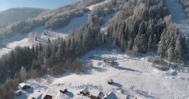 Drone görüntüleri kar ağaçları, kış doğasını güzel Avrupa hava manzarasını çam ormanı dağını, mevsimlik seyahatleri, donuk doğayı 4k