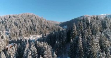 Drone görüntüleri kar ağaçları, kış doğasını güzel Avrupa hava manzarasını çam ormanı dağını, mevsimlik seyahatleri, donuk doğayı 4k