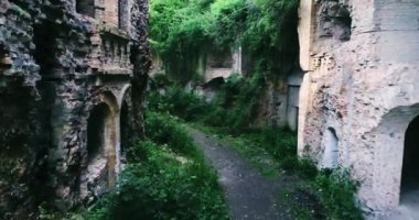 Ukrayna 'nın Rivne Bölgesi' ndeki Tarakanivskiy Kalesi 'nin muhteşem manzarası. 4k yeşil orman, harabeler, mistik yer.