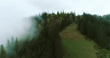 Dağlardaki sisli yağmur ormanlarının hava manzarası