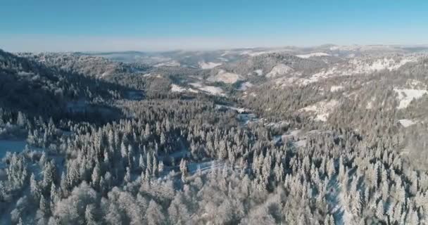 ドローン映像雪に覆われた木々 冬の自然美しいヨーロッパの航空ビューの松の森の山 季節の旅行白い凍結自然の牧歌的な4K — ストック動画