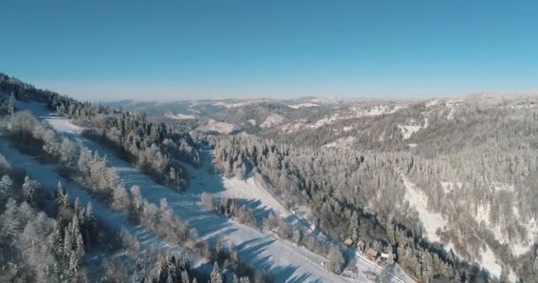 ドローン映像雪に覆われた木々 冬の自然美しいヨーロッパの航空ビューの松の森の山 季節の旅行白い凍結自然の牧歌的な4K — ストック動画