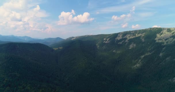 Antena Voar Sobre Uma Bela Floresta Verde Uma Paisagem Montanha — Vídeo de Stock