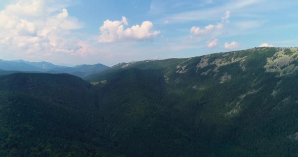 Antenne Van Vliegen Een Prachtig Groen Bos Een Berglandschap — Stockvideo