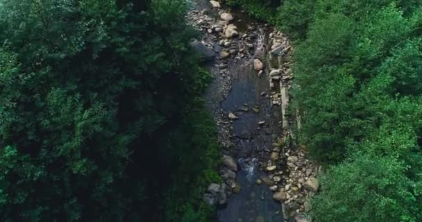 Aerial View Mountain River Beautiful Green Forest — Stock Video