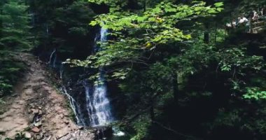 Yeşil orman manzaralı yüksek şelale