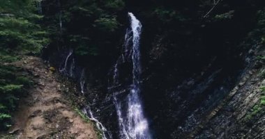 Yeşil orman manzaralı yüksek şelale