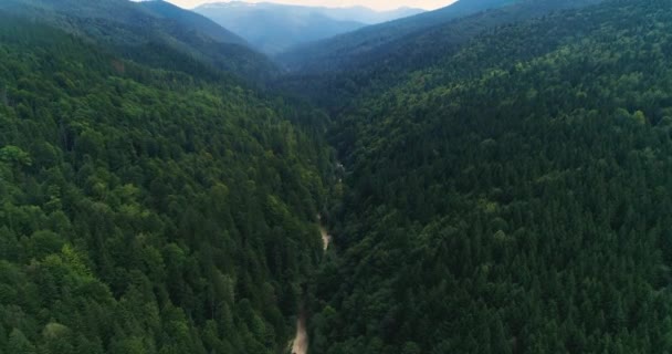 Aerea Volare Sopra Una Bella Foresta Verde Paesaggio Montano — Video Stock