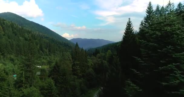 4K aérien de survoler une belle forêt verte dans un paysage de montagne 