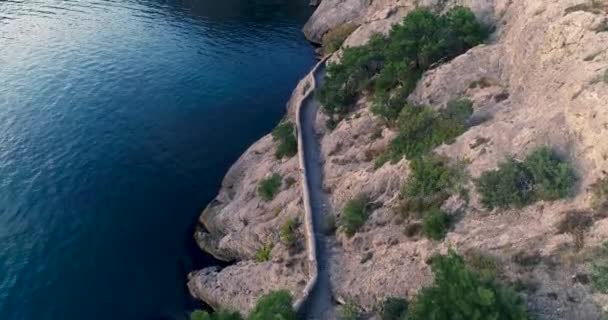 Aerial View Cliff Path Sea — Stock Video