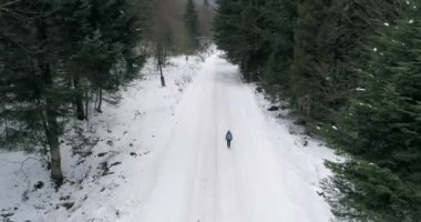 Ormanda yürüyen bir kız Kışın hava manzaralı 4k