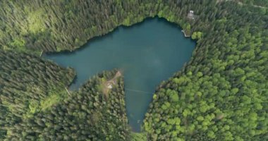 Turkuaz suyu ve yeşil ağaçları olan dağ gölü. Ukrayna 'daki Karpat Dağları' ndaki Synevir Gölü 'nün havadan görünüşü. 4k video.