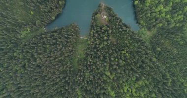 Turkuaz suyu ve yeşil ağaçları olan dağ gölü. Ukrayna 'daki Karpat Dağları' ndaki Synevir Gölü 'nün havadan görünüşü. 4k video.