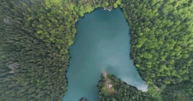 Turkuaz suyu ve yeşil ağaçları olan dağ gölü. Ukrayna 'daki Karpat Dağları' ndaki Synevir Gölü 'nün havadan görünüşü. 4k video.