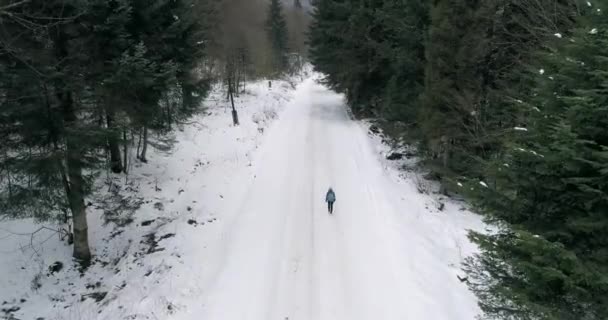 冬の空中ビューで森の中を歩く少女4K — ストック動画