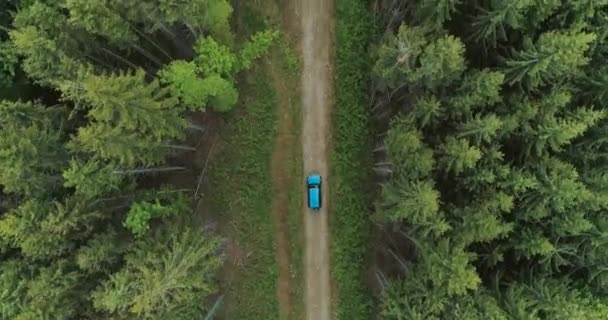 Vue aérienne d'une voiture circulant sur l'autoroute à travers la forêt à la campagne. Images de drone cinématographiques d'une voiture qui s'éloigne de la caméra dans des fores de pin. Montagnes des Carpates, Ukraine .