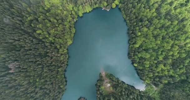 ターコイズブルーの水と緑の木と山の湖 ウクライナのカルパティア山脈でSynevir湖の空中ビュー 4Kビデオ — ストック動画