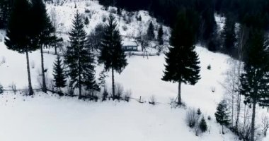 Ormandaki eski evin 4k hava manzarası