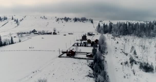 Vista Aérea Del Dron Bosque Montañoso Paisaje Invierno — Vídeo de stock