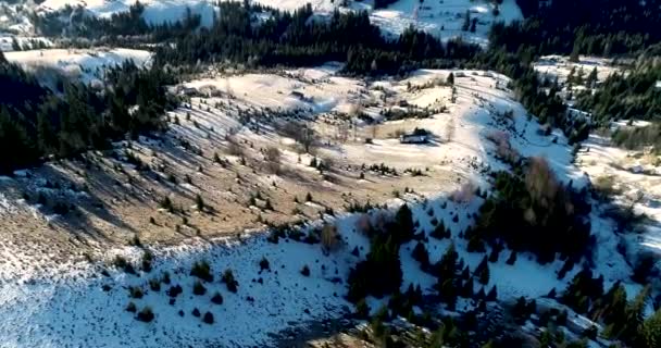 Drone Imagens Neve Coberto Árvores Inverno Natureza Bela Europa Vista — Vídeo de Stock