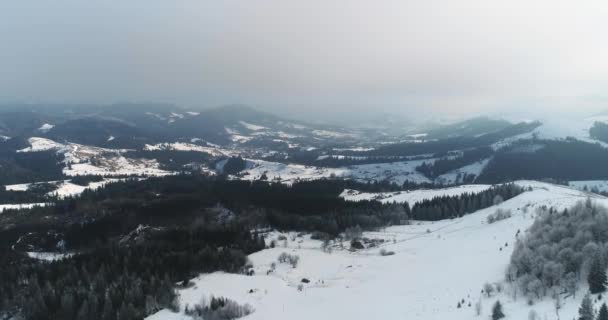 Uitzicht Drone Vanuit Lucht Het Bergwoud Winterlandschap — Stockvideo