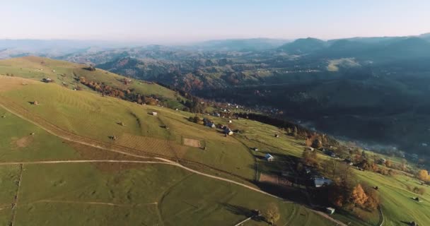 언덕에 아름다운 과푸른 초원을 공중에서 내려다볼 수있었다 우크라이나 카르파티아 지대에 — 비디오