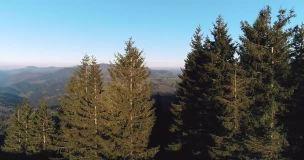 丘の上に美しい山々と緑の牧草地の空中ビュー 日没時に山の中でVerkhovyna村のドローンショット カルパティア山脈 ウクライナ — ストック動画