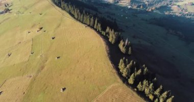 Güzel dağların ve tepedeki yeşil çayırların havadan görünüşü. Gün batımında dağlarda bir Verkhovyna köyünün insansız hava aracı çekimi, Karpat Dağları, Ukrayna.