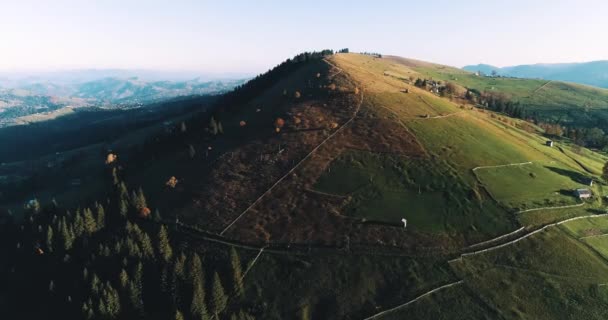 丘の上に美しい山々と緑の牧草地の空中ビュー 日没時に山の中でVerkhovyna村のドローンショット カルパティア山脈 ウクライナ — ストック動画