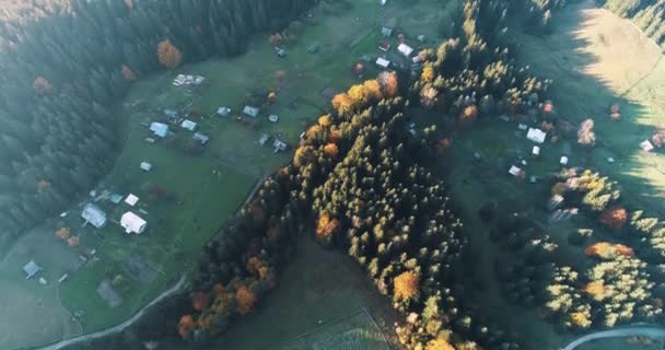 Herfst Kleurenbos Met Uitzicht Kleurrijke Herfstbomen Velden Vallei Bij Zonsondergang — Stockvideo