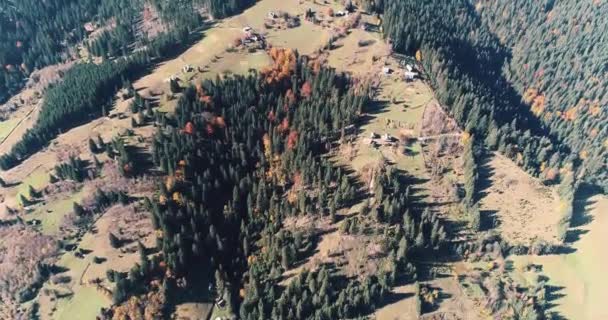 Φθινόπωρο Δάσος Χρώμα Θέα Πάνω Από Πολύχρωμα Δέντρα Φθινόπωρο Χωράφια — Αρχείο Βίντεο