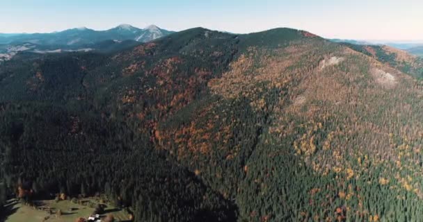 Floresta Cores Outono Com Vista Sobre Árvores Coloridas Outono Campos — Vídeo de Stock