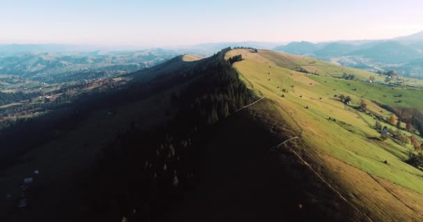 丘の上に美しい山々と緑の牧草地の空中ビュー 日没時に山の中でVerkhovyna村のドローンショット カルパティア山脈 ウクライナ — ストック動画