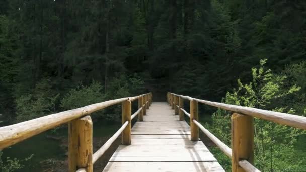 Spaziergang Auf Hängebrücke Über Den Fluss Wald — Stockvideo