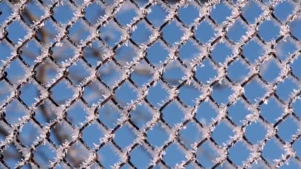 Замороженная Решетка Зимой — стоковое видео