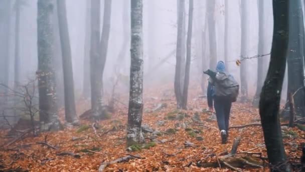 Een Man Met Een Rugzak Loopt Een Mistig Bos Zicht — Stockvideo