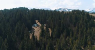 İnanılmaz bir dağ manzarası. Çam ormanlarına ve Ukrayna 'daki Karpat Dağları' nın karlı tepelerine doğru ilerliyoruz. 4k İHA uçağı atış için hazırlanıyor