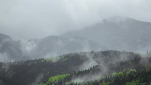 View Foggy Mountains Raining Timelapse Misty Fog Blowing Mountains Pine — Stock Video