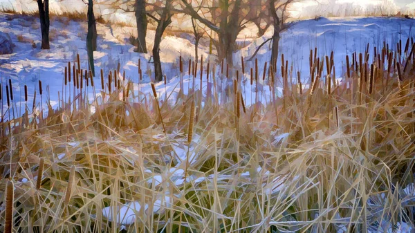 雪に覆われた葦の様式写真 — ストック写真