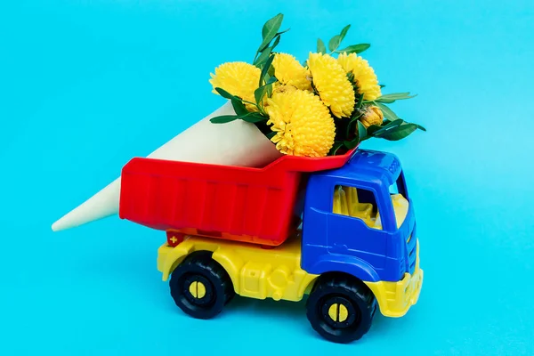 Bouquet of yellow chrysanthemums and Pistacia leaves wrapped in paper in a toy truck on a blue background. Concept of delivering flowers and plants.