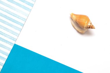 Çizgili, mavi ve beyaz renklerin birleşik arka planında deniz kabuğu. Minimum yaz düzlüğü kavramı. Model oluşturmak için alanı kopyala