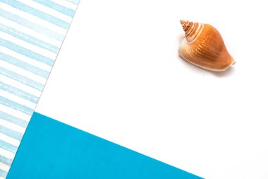 Çizgili, mavi ve beyaz renklerin birleşik arka planında deniz kabuğu. Minimum yaz düzlüğü kavramı. Model oluşturmak için alanı kopyala