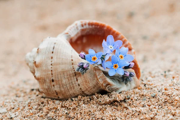 Blaue Blumen Einer Leeren Muschel Auf Sandigem Hintergrund Sommerkonzept Selektiver — Stockfoto