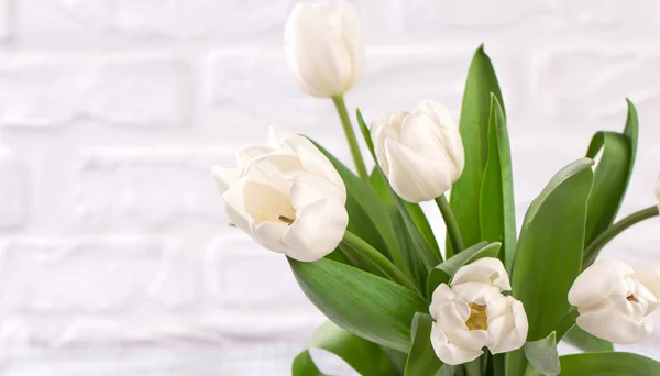 Buquê de flores de tulipa branca fresca na frente da parede de tijolo branco . — Fotografia de Stock