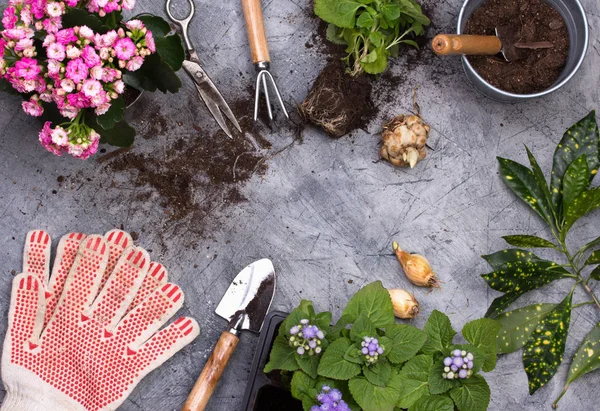 Trädgårdsredskap på mörk trä bakgrund med plats för text ovanifrån — Stockfoto