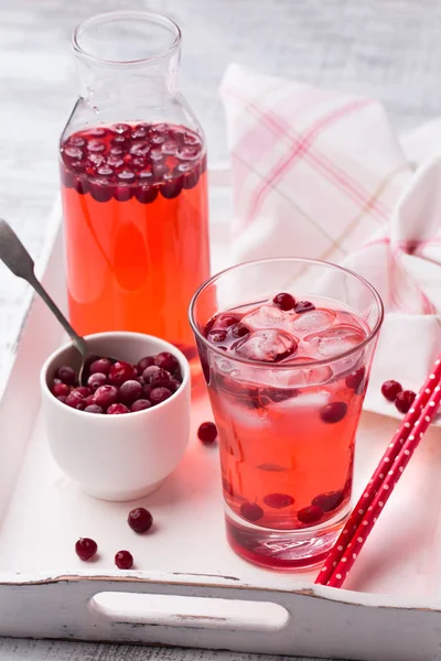 Cocktail refrescante com cranberry e gelo — Fotografia de Stock